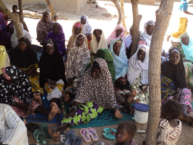Revue de presse du Village des Sans Terre - Suite
