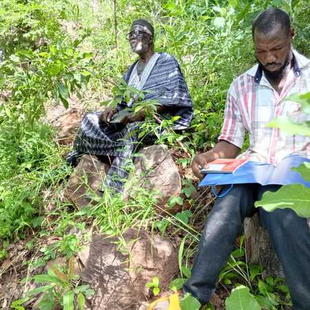 Agroécologie paysanne et protection de l'environnement : l'UACDDDD éveille les consciences communautaires
